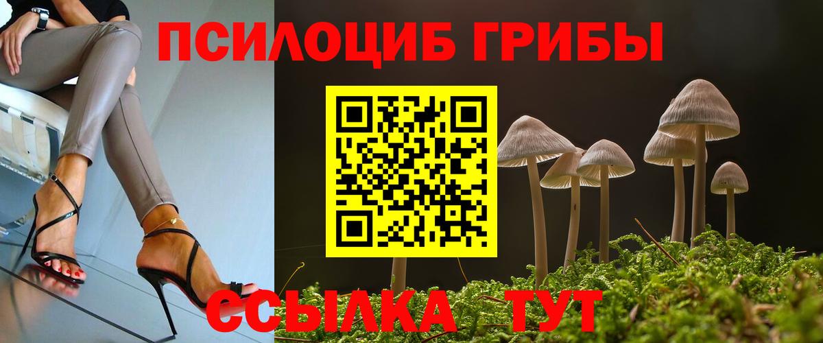 Галлюциногенные грибы GOLDEN TEACHER Новодвинск